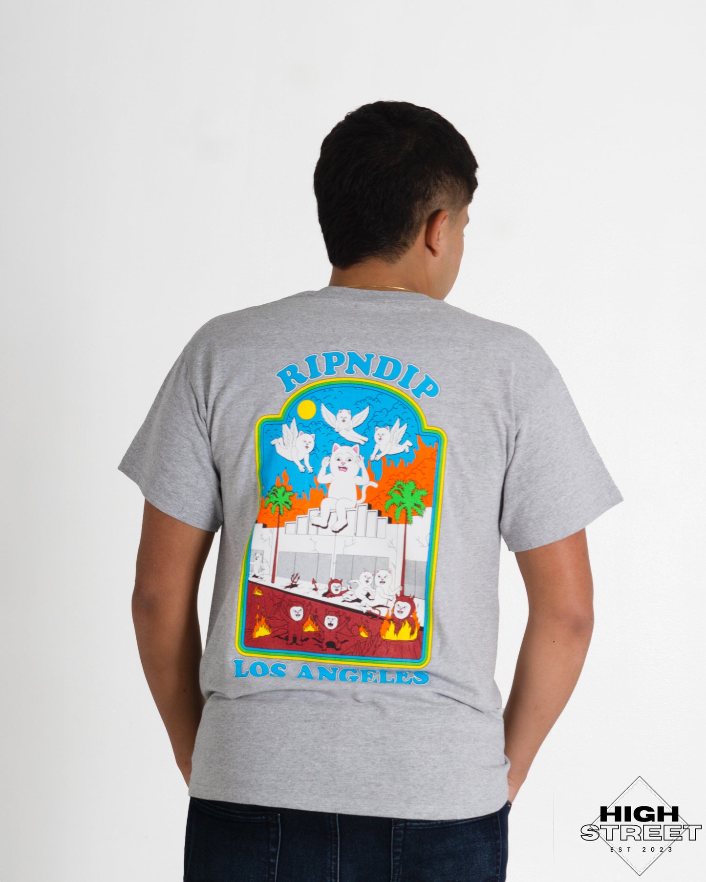 RIPNDIP CAMISETA HEAVEN ON EARTH TEE