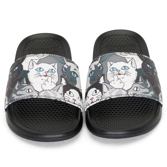 RIPNDIP FAMILY TREE SLIDES